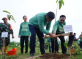 Menteri PKP Maruarar Sirait Bakal Wajibkan Program Satu Rumah Satu Pohon