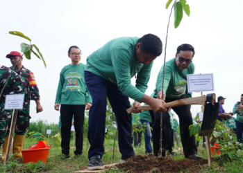 Menteri PKP Maruarar Sirait Bakal Wajibkan Program Satu Rumah Satu Pohon