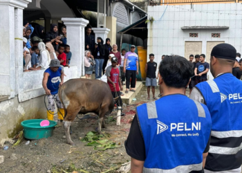 Lewat Program TJSL, PT PELNI Salurkan Hewan Kurban ke Berbagai Pelosok Indonesia