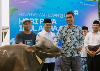 Idul Adha 1447 H: ITDC Salurkan 29 Hewan Kurban di Tiga Destinasi Wisata Utama