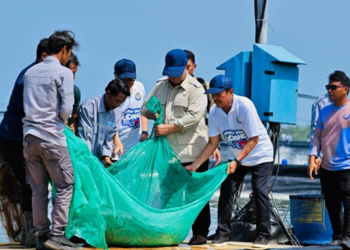Panen Udang di Kebumen, Presiden Prabowo Siapkan Proyek 2.000 Hektare di NTT
