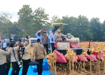 Hadiri Panen Raya di Tuban, Presiden Prabowo Resmikan Fasilitas Pangan Polri