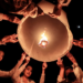 InJourney Buka Penjualan Tiket Lampion Waisak 2026 di Borobudur, Cek Harga Paketnya!