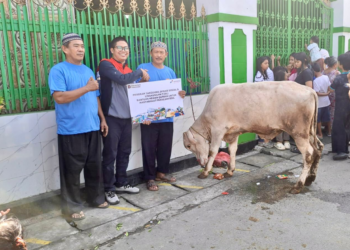 Maknai Idul Adha 2026, Pertamina Group Berbagi Lebih dari 4.400 Hewan Kurban