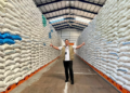 Rekor Baru CBP! Bulog Sukses Serap 3 Juta Ton Beras Petani Per Awal Juni 2026
