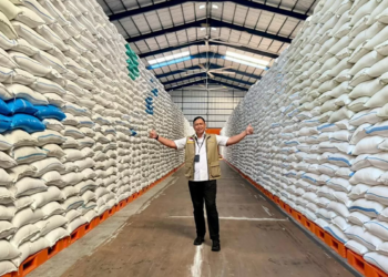Rekor Baru CBP! Bulog Sukses Serap 3 Juta Ton Beras Petani Per Awal Juni 2026