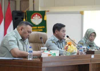 Tanam Padi