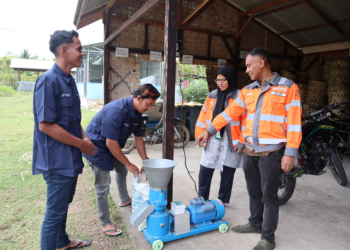 SIG Sulap Sampah Kelapa Jadi Pakan Ternak Berbasis Ekonomi Sirkular di Aceh