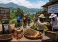 BI Bangun Ekosistem Desa Wisata Berbasis Kopi, Madu, dan Pokdarwis Berkelanjutan