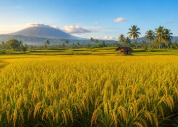 Indonesia Swasembada Beras, tapi Harga Beras Mahal