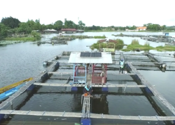 PLN Indonesia Power Pacu 4 PLTS Raksasa Topang Gaya Hidup Hijau Urban