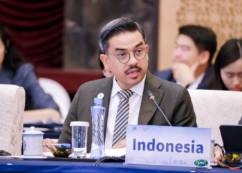 Peluang Investasi UMKM: Indonesia Dorong Pembiayaan Inklusif di APEC