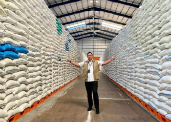 Stok Beras BULOG Tembus 4,5 Juta Ton, Amankan Ekonomi dan Gaya Hidup Urban