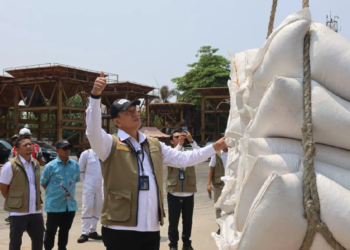 BULOG Pasok 10 Ribu Ton Jagung SPHP: Amankan Harga Pangan Segar Kota