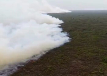 Enam Perusahaan Karhutla Kena Pembekuan Izin dan Denda Pemulihan Ekosistem Hutan