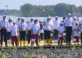 Pelindo Perkuat Ekosistem Mangrove Demak Jaga Investasi dan Logistik
