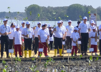 Pelindo Perkuat Ekosistem Mangrove Demak Jaga Investasi dan Logistik