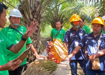 TAP Latih Petani Kaltim Tingkatkan Nilai Investasi Kebun Sawit