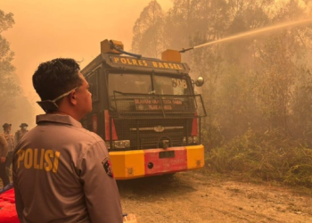 Karhutla Barito Selatan Mengancam: Kabut Asap, Rantai Pasok, dan Risiko Investasi